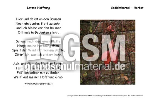 Letzte-Hoffnung-Müller.pdf